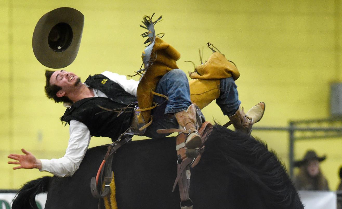 CSI Rodeo, 2018